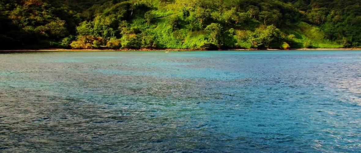 Buseo en la Isla de Coco